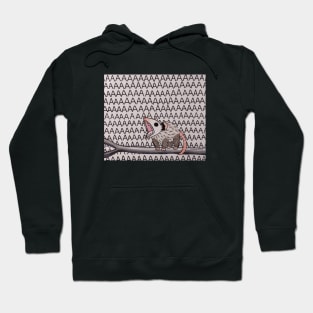 AAAAAAAAAAAAAAAAAAAAA Possum opossum Hoodie